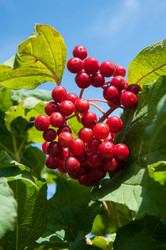 Similar image 2997198