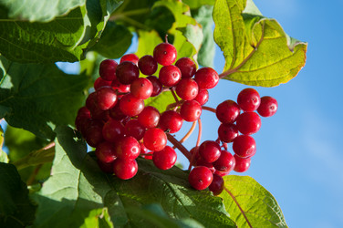 Similar image 2997199