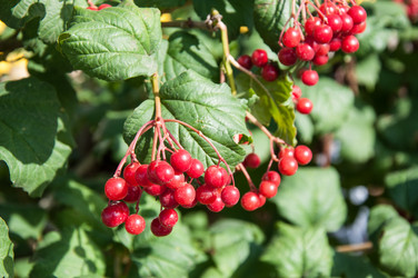 Similar image 2997219