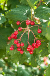 Similar image 2997220