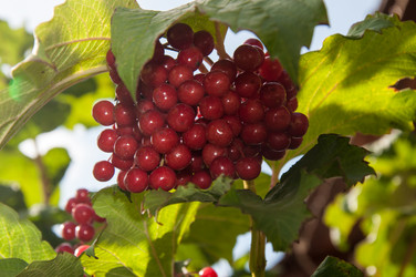 Similar image 2997221