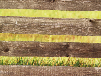 Similar image 2997232