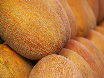 Similar image 2997237