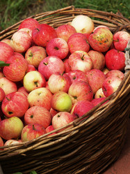 Similar image 2997242