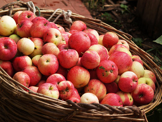 Similar image 2997245