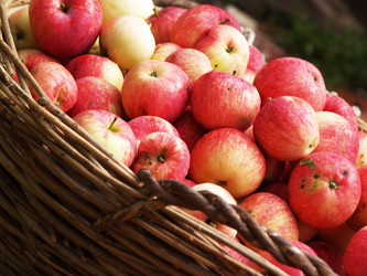 Similar image 2997247