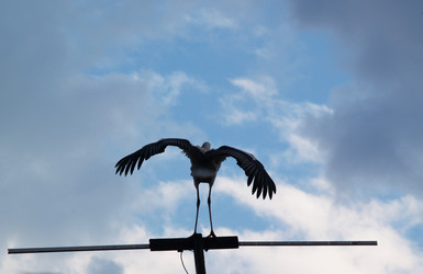 Similar image 2997250