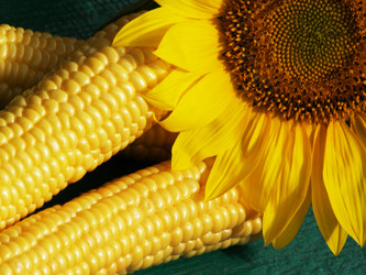 Similar image 2997253