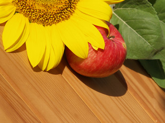 Similar image 2997255