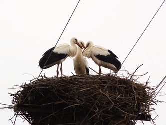 Similar image 2997257