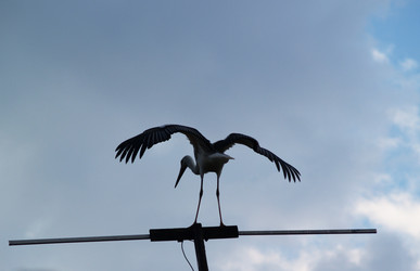 Similar image 2997258