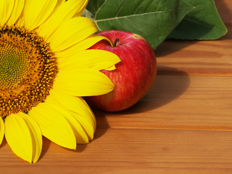 Similar image 2997259