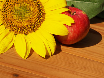 Similar image 2997261