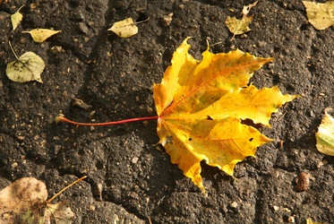 Similar image 2997403