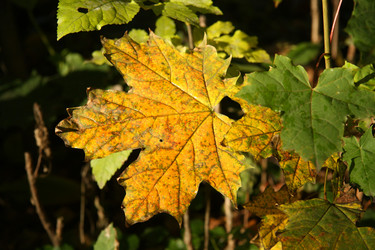 Similar image 2997404