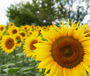 Similar image 2997442