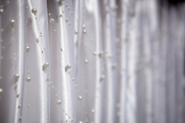 Similar image 2997539