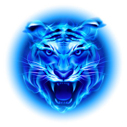 Similar image 2997552