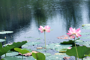 Similar image 2997573