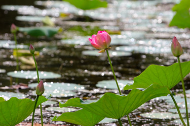 Similar image 2997575