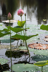 Similar image 2997578