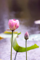 Similar image 2997579