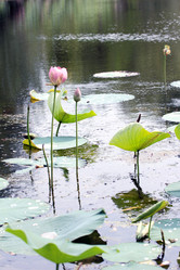 Similar image 2997580