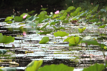 Similar image 2997581