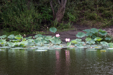 Similar image 2997582