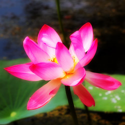 Similar image 2997583