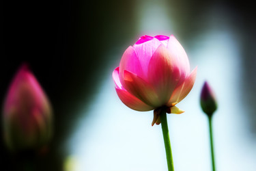 Similar image 2997585