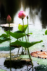 Similar image 2997589