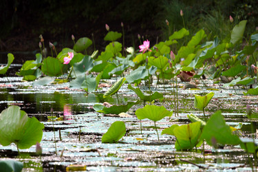 Similar image 2997592