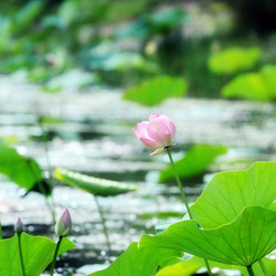 Similar image 2997593