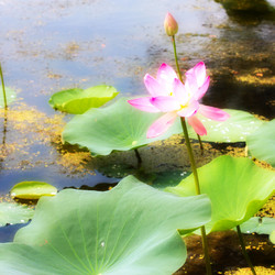 Similar image 2997594