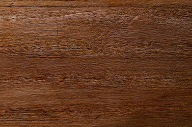 Similar image 2997686