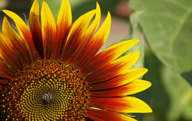 Similar image 2997904