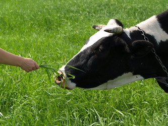 Similar image 2997905