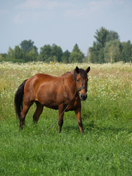 Similar image 2997906