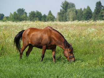 Similar image 2997907