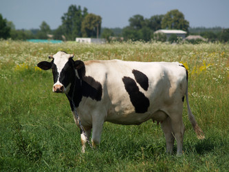 Similar image 2997909