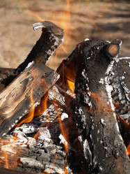 Similar image 2997913