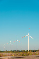 Similar image 2998282