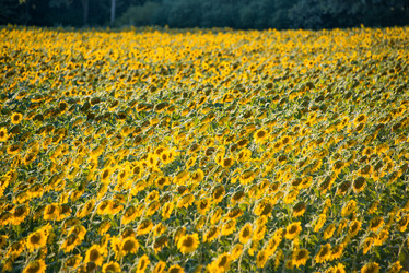 Similar image 2998311