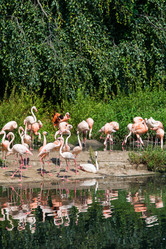 Similar image 2998345