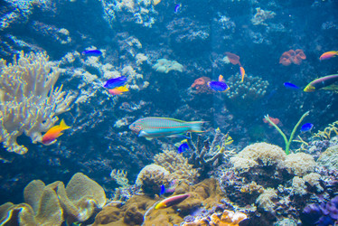 Similar image 2998359