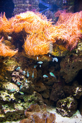 Similar image 2998362