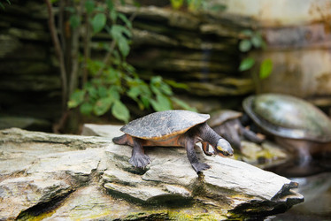 Similar image 2998378