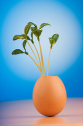 Similar image 2998742