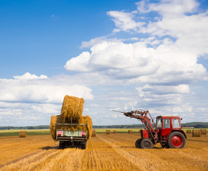 Similar image 2998772